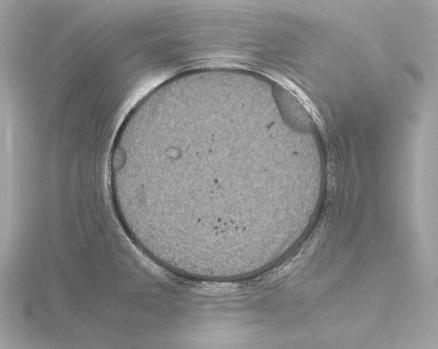 X0000115061285200912071143