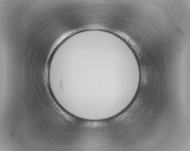 X0000115061286200912071143