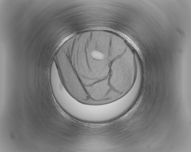 X0000115061289200912071143