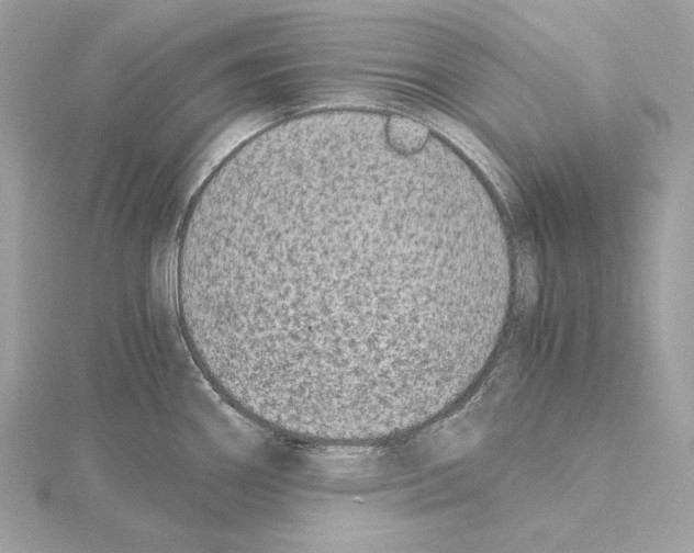 X0000115061290200912071143