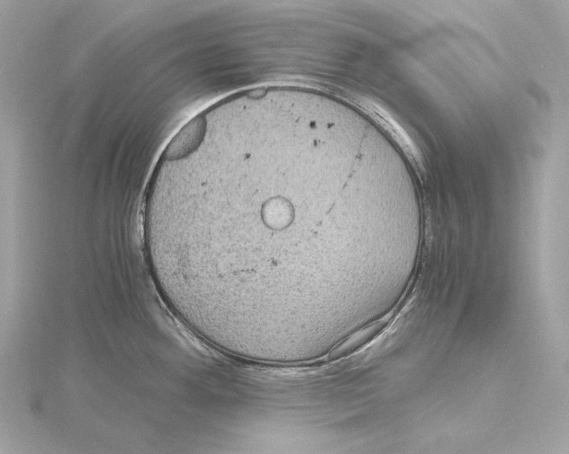 X0000115061292200912071143