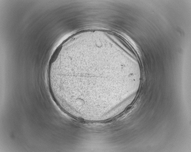 X0000115061293200912071143