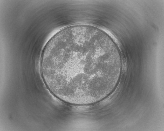 X0000115061294200912071143