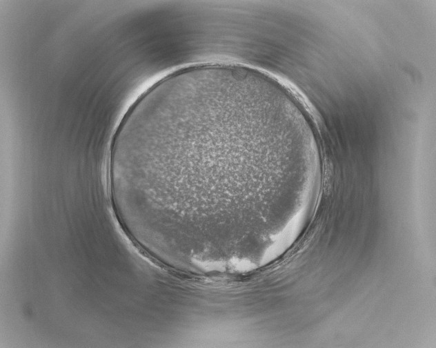 X0000115061295200912071143