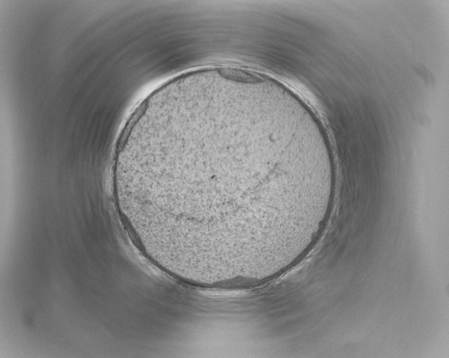 X0000115061296200912071143