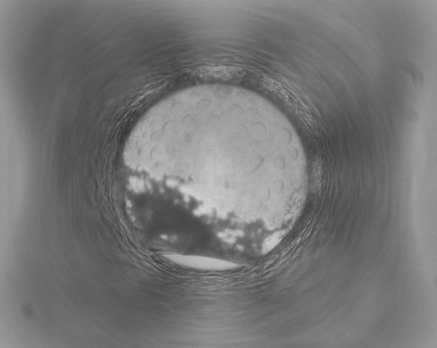 X0000115061297200912071143