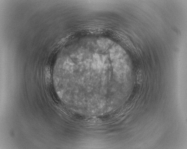 X0000115061298200912071143