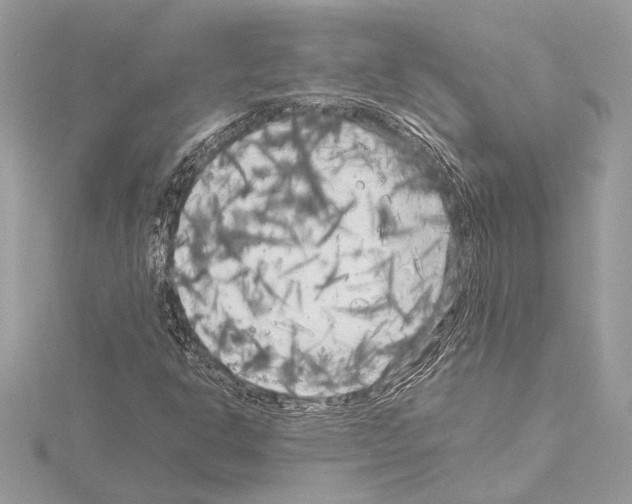 X0000115061302200912071143