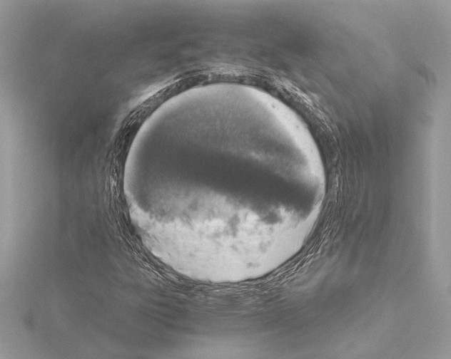 X0000115061303200912071143