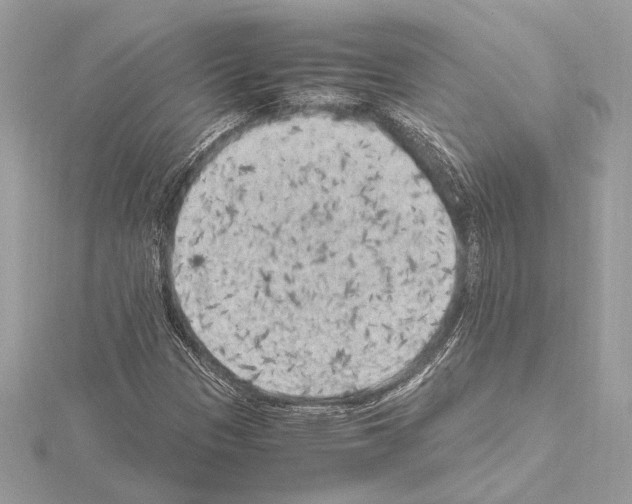 X0000115061305200912071143