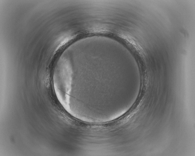 X0000115061306200912071143