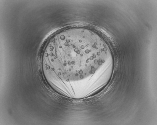 X0000115061310200912071143