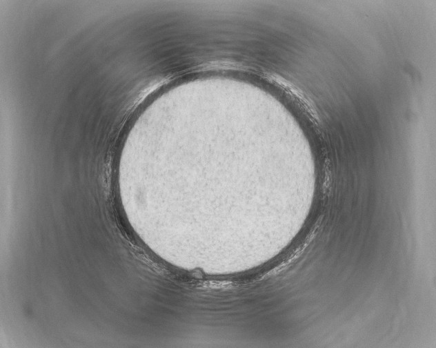 X0000115061313200912071143