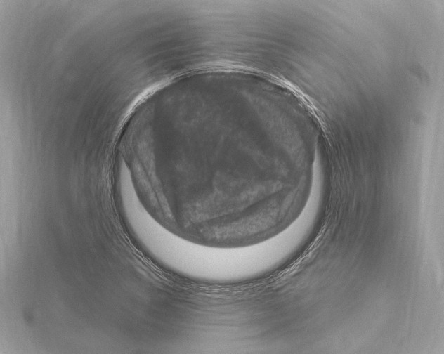 X0000115061314200912071143