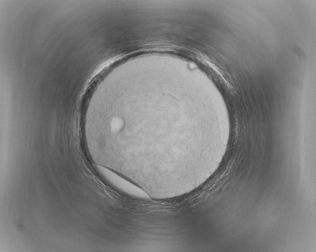 X0000115061315200912071143