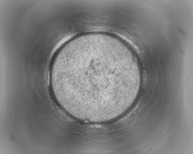 X0000115061317200912071143