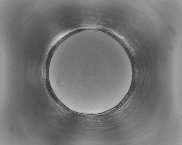 X0000115061319200912071143