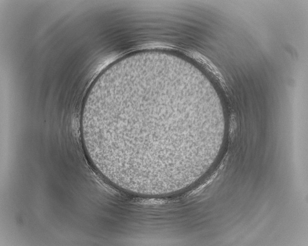 X0000115061321200912071143