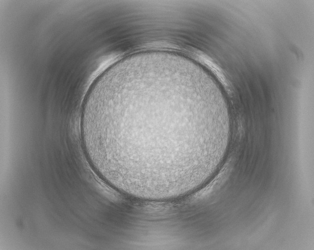 X0000115061322200912071143