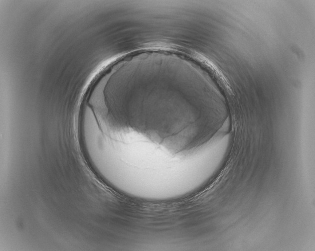 X0000115061323200912071143