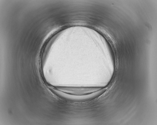 X0000115061325200912071143