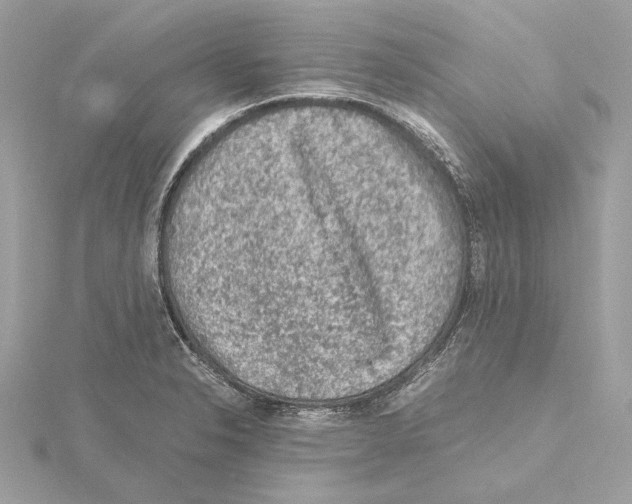 X0000115061326200912071143