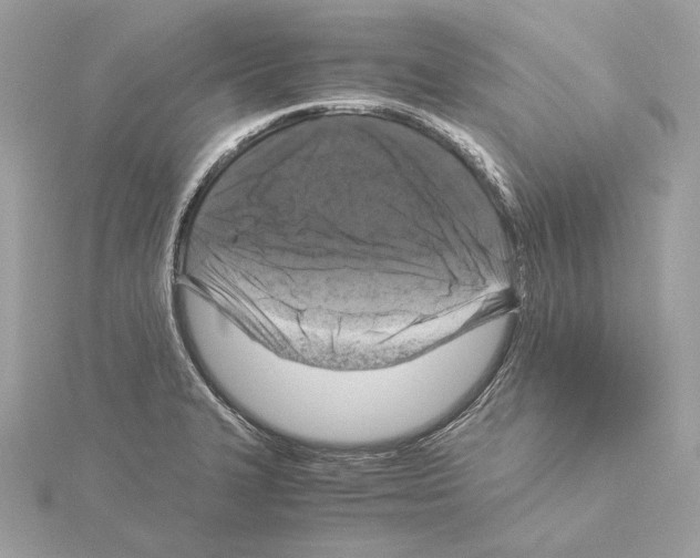 X0000115061327200912071143