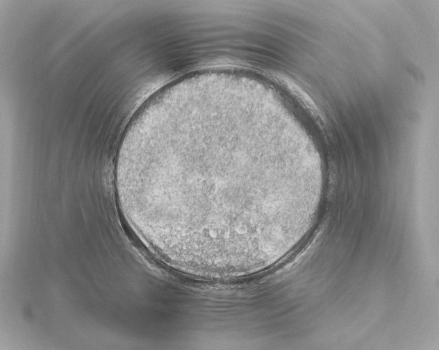 X0000115061329200912071143