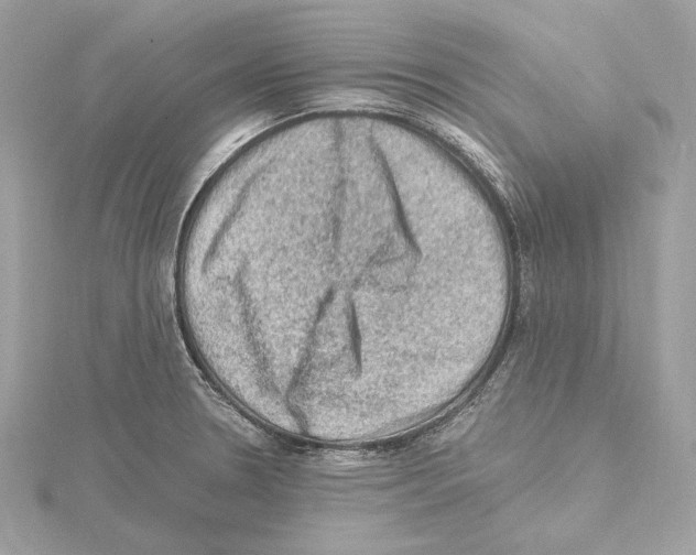 X0000115061330200912071143