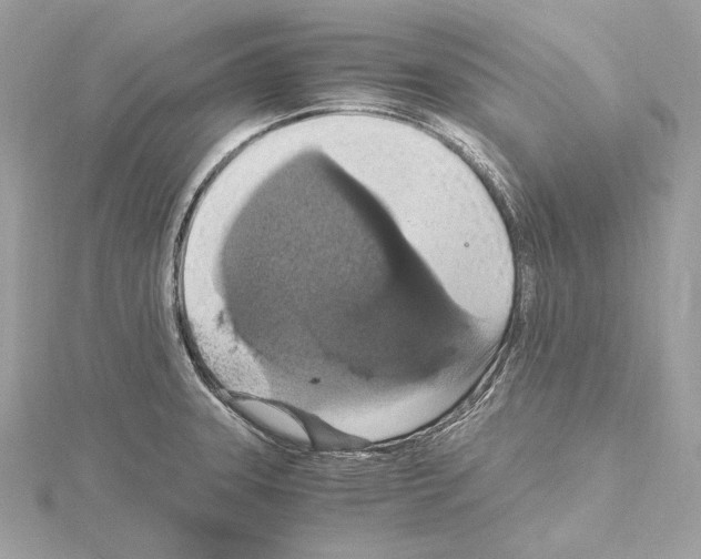 X0000115061331200912071143