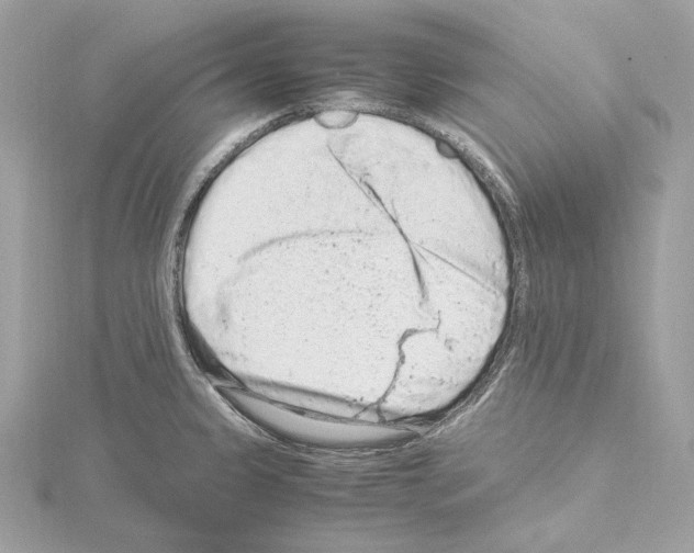 X0000115061333200912071143