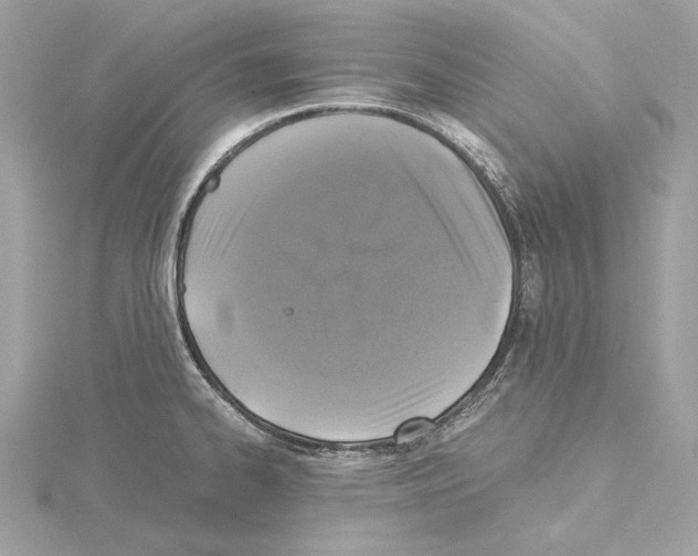 X0000115061334200912071143