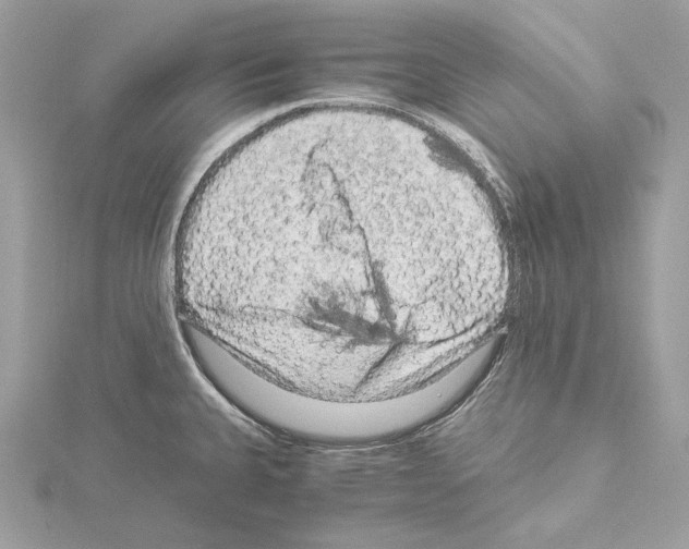 X0000115061335200912071143