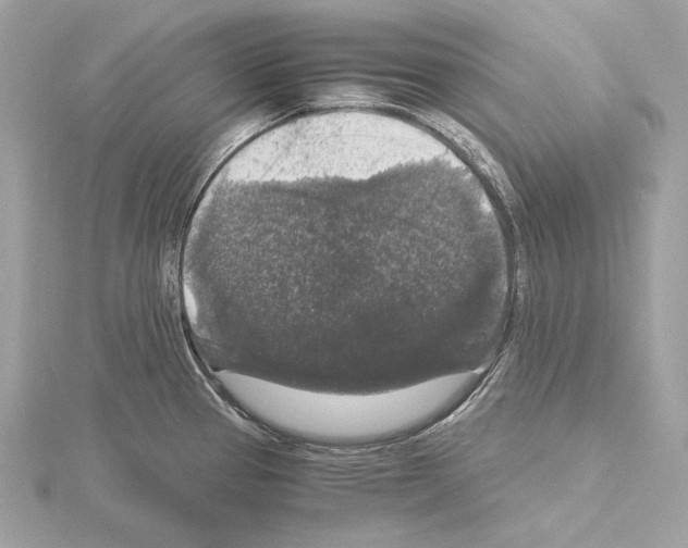 X0000115061337200912071143