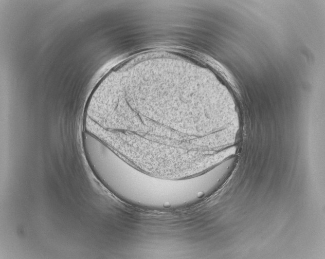 X0000115061338200912071143