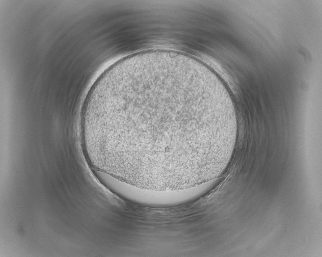 X0000115061339200912071143