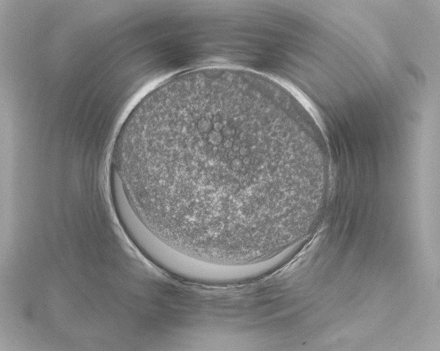 X0000115061341200912071143