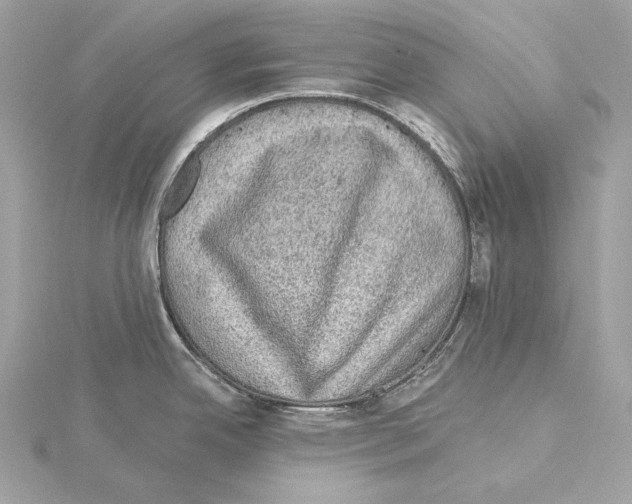 X0000115061342200912071143