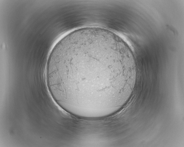 X0000115061343200912071143