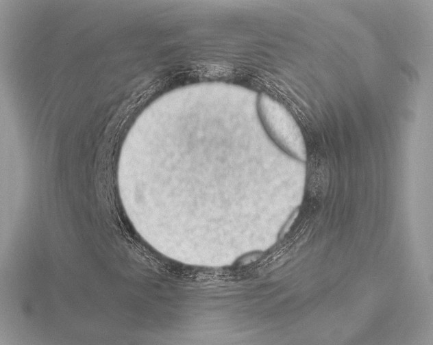 X0000115061345200912071143