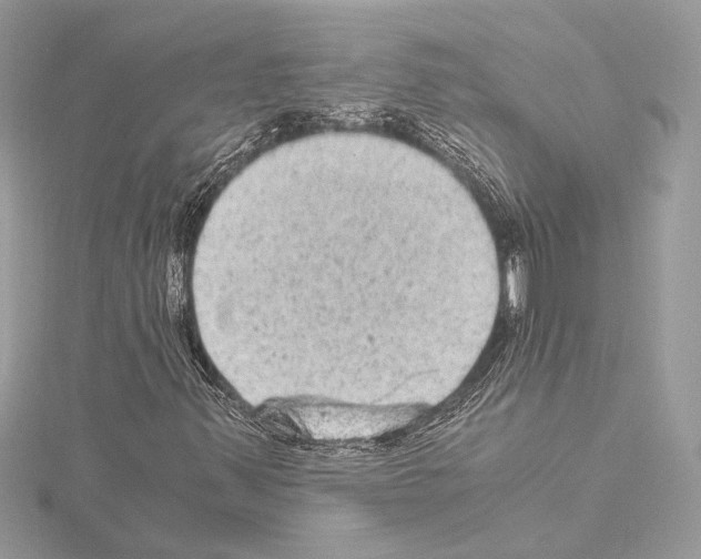 X0000115061347200912071143