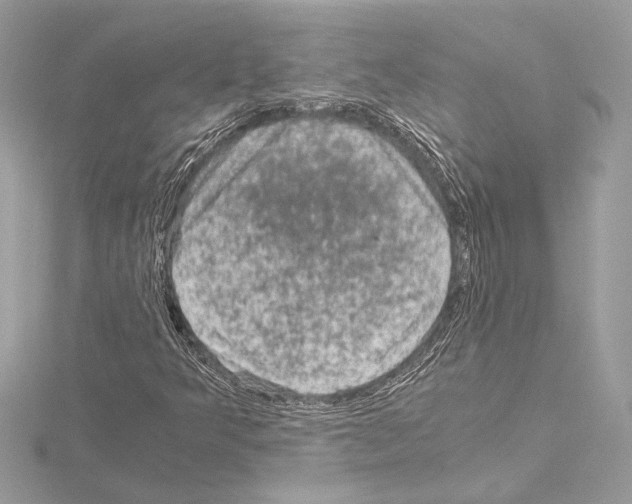 X0000115061349200912071143