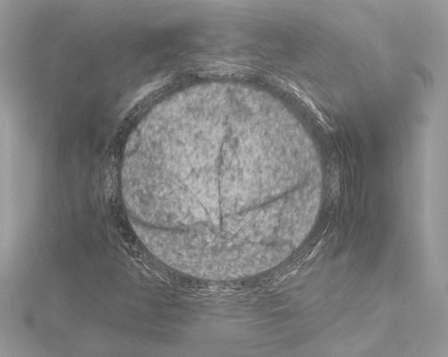 X0000115061350200912071143