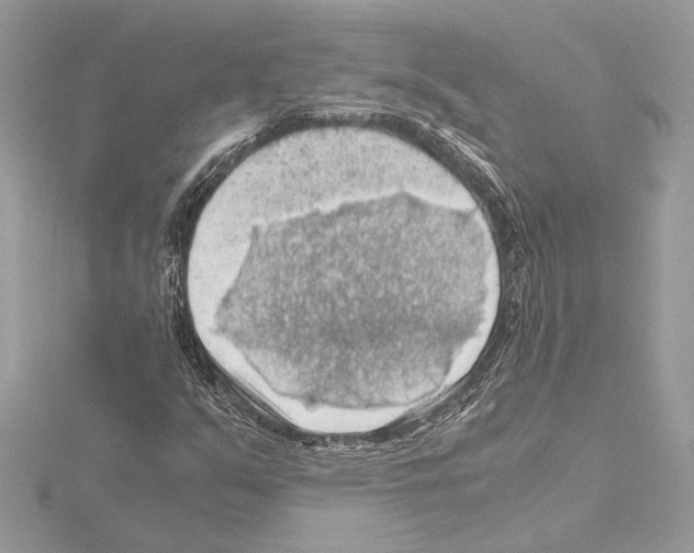 X0000115061351200912071143