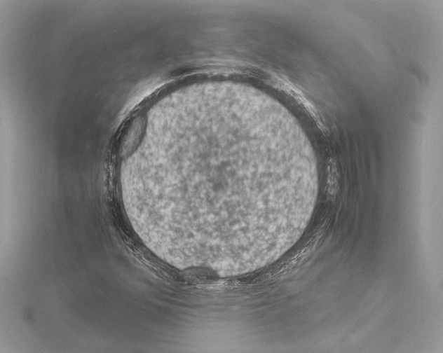 X0000115061352200912071143