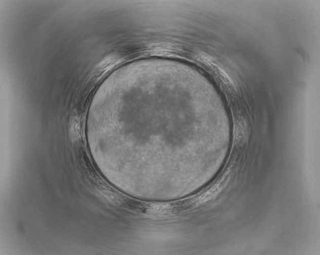 X0000115061353200912071143