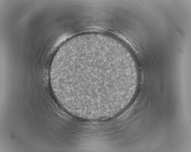 X0000115061355200912071143