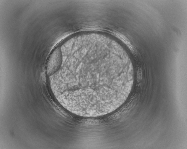 X0000115061356200912071143