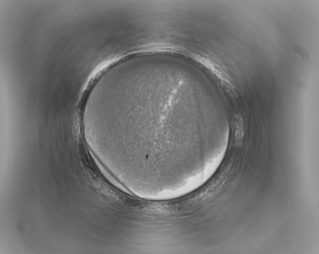 X0000115061358200912071143