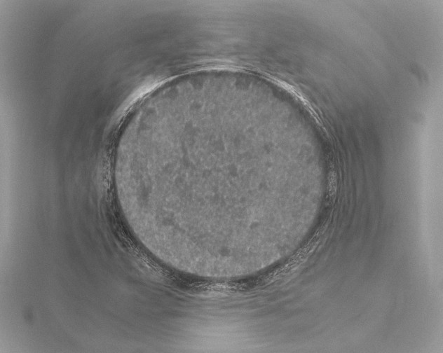 X0000115061359200912071142